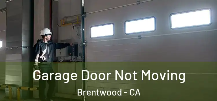  Garage Door Not Moving Brentwood - CA