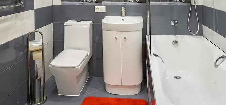 Hansgrohe Shaving Mirror Brentwood