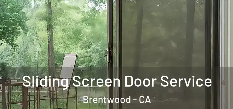 Sliding Screen Door Service Brentwood - CA